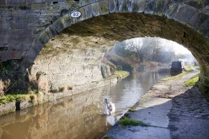 scholars green canal path 115 sm.jpg